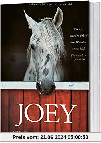 Joey: Wie ein blindes Pferd uns Wunder sehen ließ. Eine wahre Geschichte